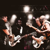 The BB King Blues Band en concert à la Cigale