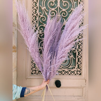 Saint-Valentin 2021 : le top des fleurs séchées