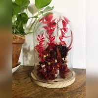 Saint-Valentin 2021 : le top des fleurs séchées