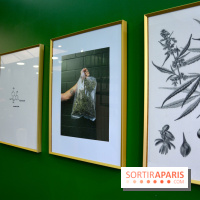 BlueDreamLab le spécialiste de la vente de cannabis CBD