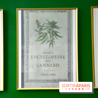 BlueDreamLab le spécialiste de la vente de cannabis CBD