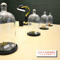 BlueDreamLab le spécialiste de la vente de cannabis CBD