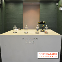 BlueDreamLab le spécialiste de la vente de cannabis CBD