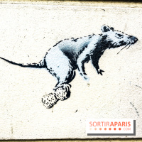 Banksy à Paris, les œuvres en photos