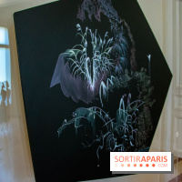 FUKAMI, l'exposition à l'hôtel Salomon de Rothschield