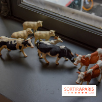 Beau et Fort, la fromagerie-restaurant à Paris