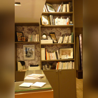 Insensée, la nouvelle marque de lingerie