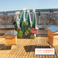 DOMUS se lance dans la production de miel