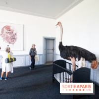 Allegoria, Philippe Pasqua au Château de Chamarande