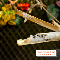 Baoli Bao, le temple du Bao Burger