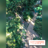 Accrocamp, l'accrobranche de Rueil