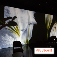 Colours X Colours, l'installation immersive à l'Atelier des Lumières