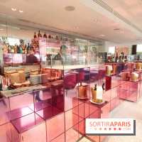 L'Hôtel Fauchon à Paris, les images