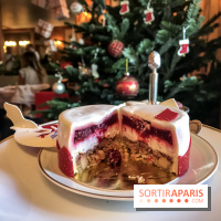 Bûche de Noël 2018 pour Ladurée