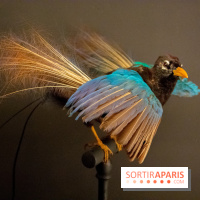 Eblouissante Venise, l'exposition au Grand Palais