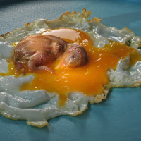 Nature Morte © Margaret Skinner - Festival International de la Photographie Culinaire 2012