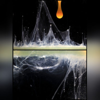 Pauline Daniel - Festival International de la Photographie Culinaire 2012