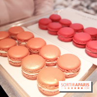 Pierre Hermé : Bûches, galette et créations de Noël 2018