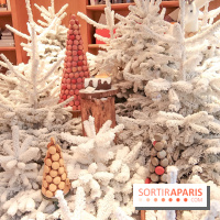 Pierre Hermé : Bûches, galette et créations de Noël 2018