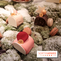 Pierre Hermé : Bûches, galette et créations de Noël 2018