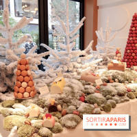 Pierre Hermé : Bûches, galette et créations de Noël 2018