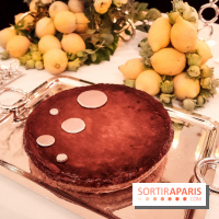 Pierre Hermé : Bûches, galette et créations de Noël 2018