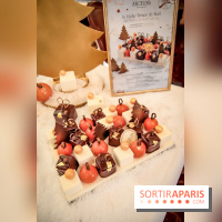 Bûches de Noël Angelina 2018 