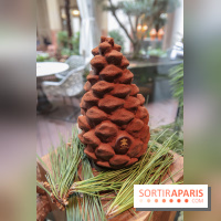 La Bûche de Noël du Prince de Galles 2018 by Nicolas Paciello