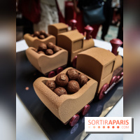 La Bûche Shangri-là Express de Michaël Bartocetti pour Noël 2018