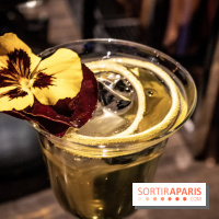 Windo : Le nouveau bar en rooftop du Hyatt Regency à Paris