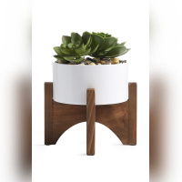 Primark présente sa nouvelle collection déco rétro luxe 