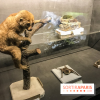 Poison au Palais de la Découverte, les photos 