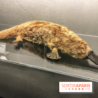 Poison au Palais de la Découverte, les photos 