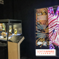 Poison au Palais de la Découverte, les photos 