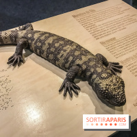 Poison au Palais de la Découverte, les photos 