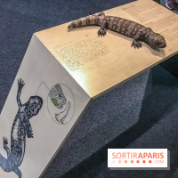 Poison au Palais de la Découverte, les photos 