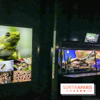 Poison au Palais de la Découverte, les photos 