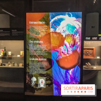 Poison au Palais de la Découverte, les photos 