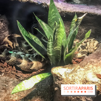 Poison au Palais de la Découverte, les photos 