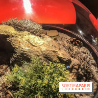 Poison au Palais de la Découverte, les photos 