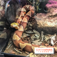 Poison au Palais de la Découverte, les photos 