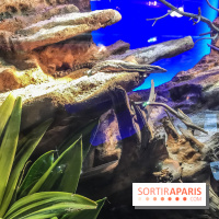 Poison au Palais de la Découverte, les photos 