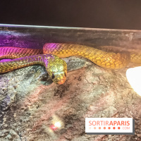 Poison au Palais de la Découverte, les photos 