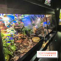 Poison au Palais de la Découverte, les photos 