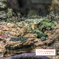 Poison au Palais de la Découverte, les photos 