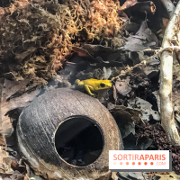 Poison au Palais de la Découverte, les photos 