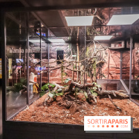 Poison au Palais de la Découverte, les photos 