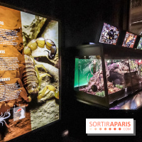 Poison au Palais de la Découverte, les photos 