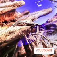 Poison au Palais de la Découverte, les photos 