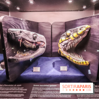 Poison au Palais de la Découverte, les photos 